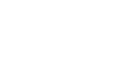 Rally